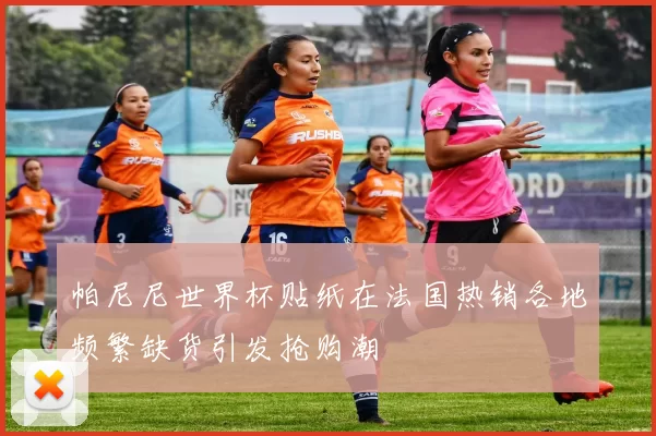 帕尼尼世界杯贴纸在法国热销各地频繁缺货引发抢购潮